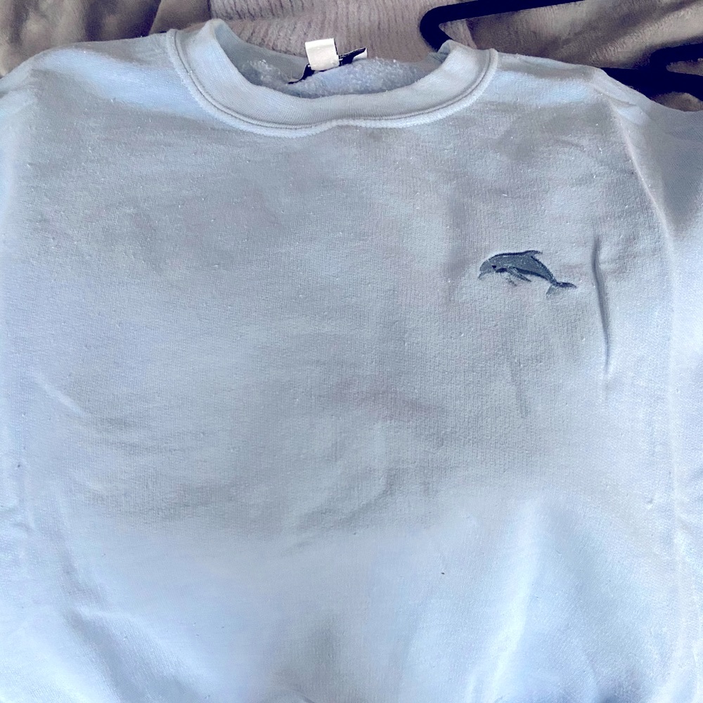 Top Shop Sweatshirt Dolphin Baby Blue